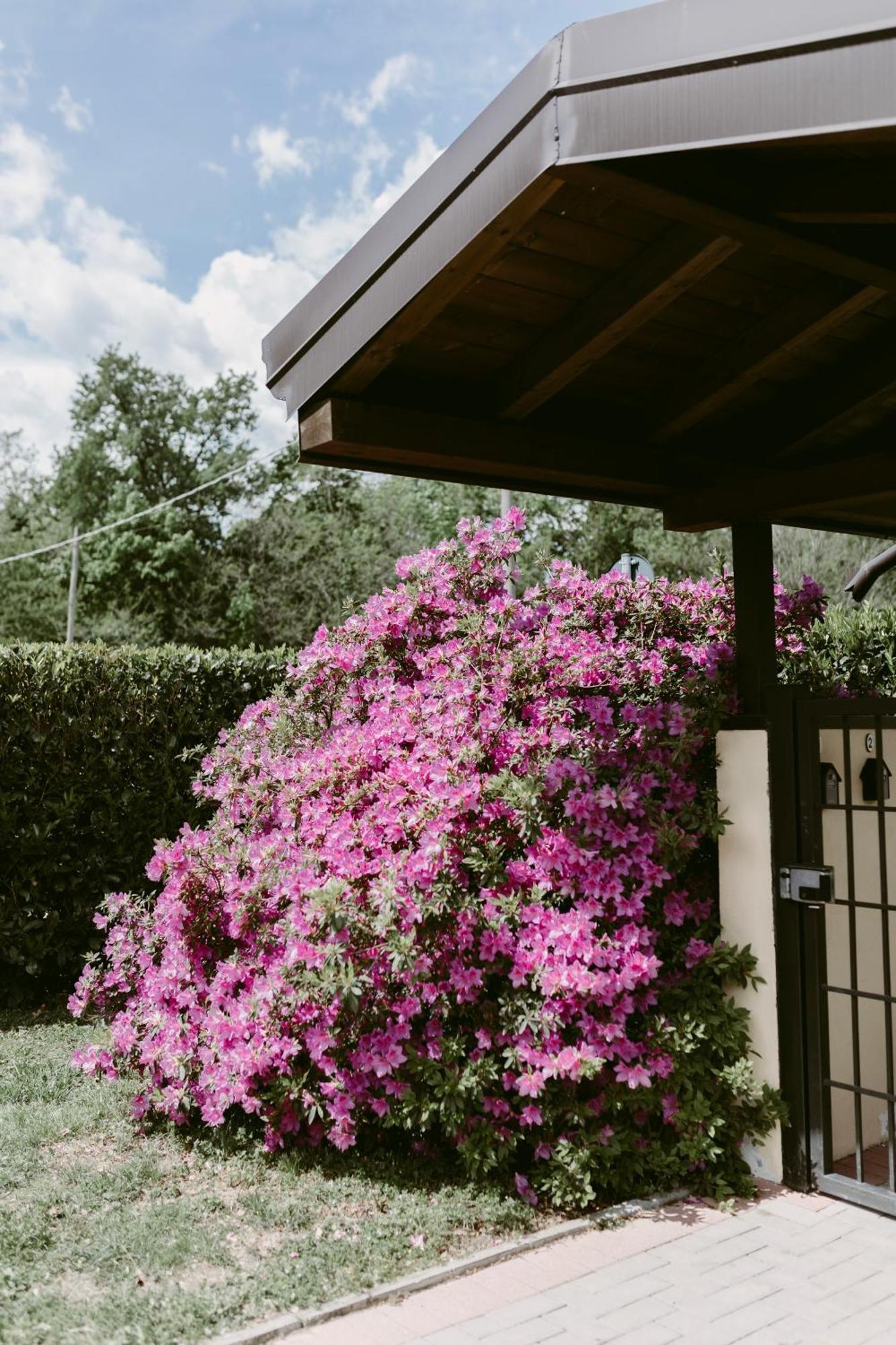 La Casetta Malpensa Guesthouse คาเซ นูโอเว ภายนอก รูปภาพ